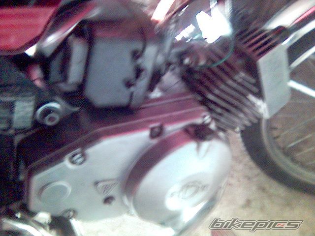Photo 798010