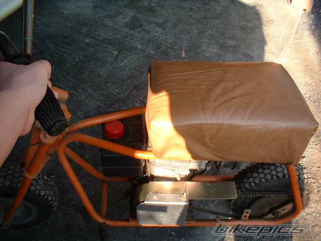 Photo 79813