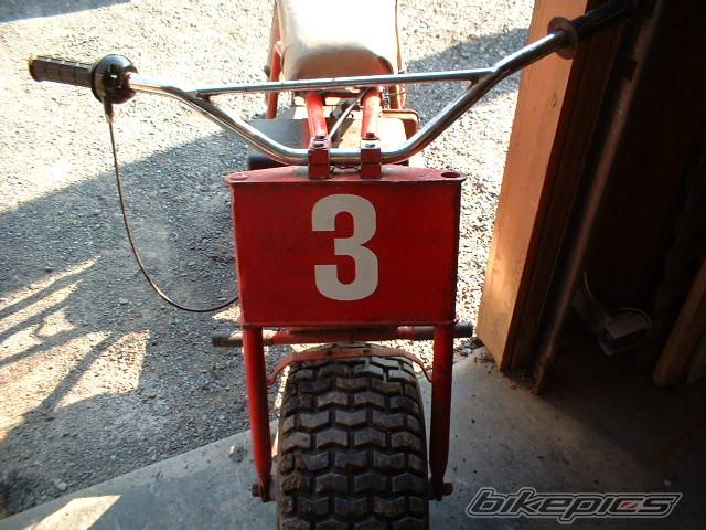 Photo 79816