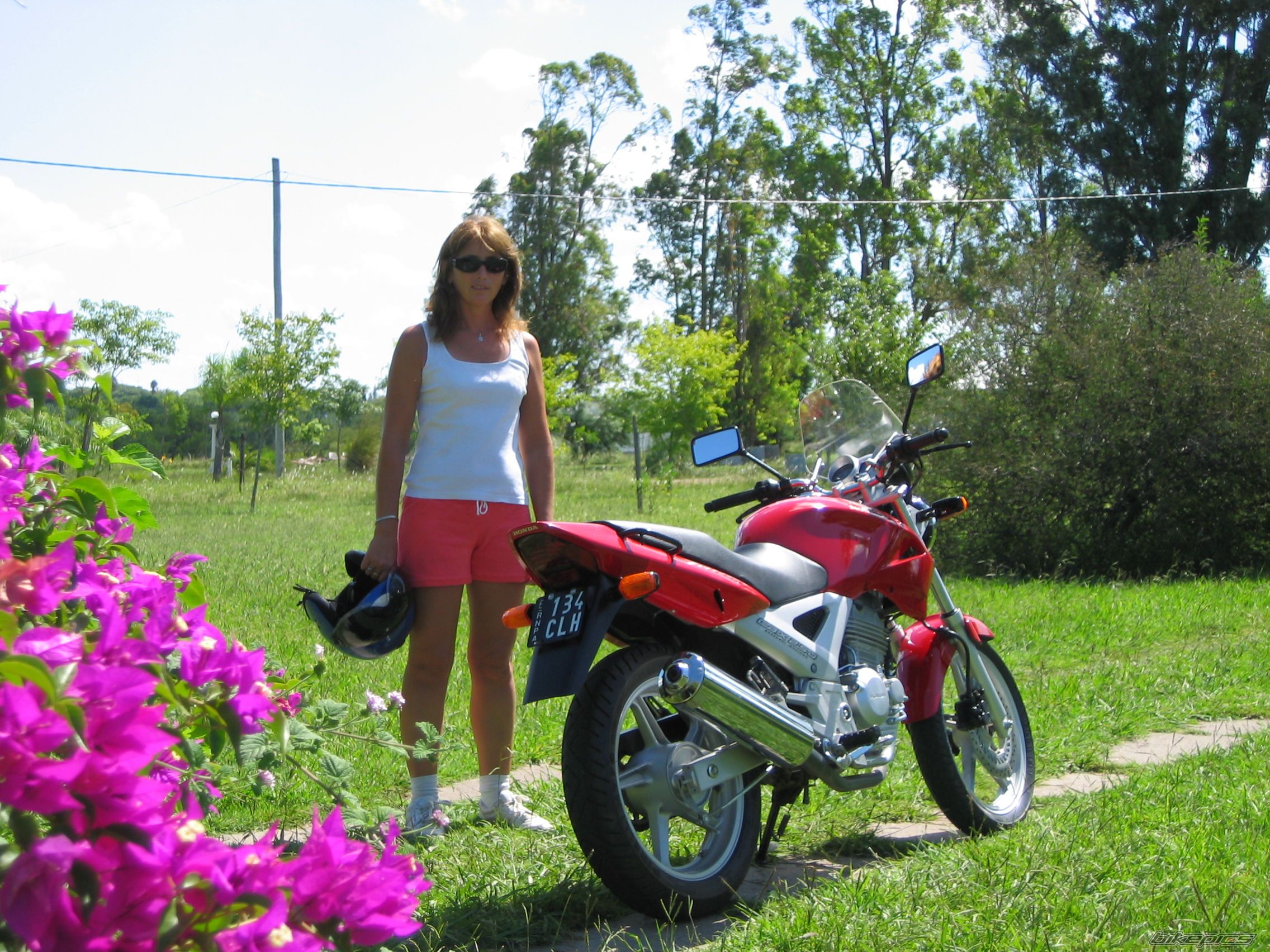 Photo 798166