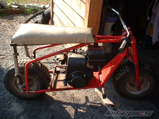 Photo 79817