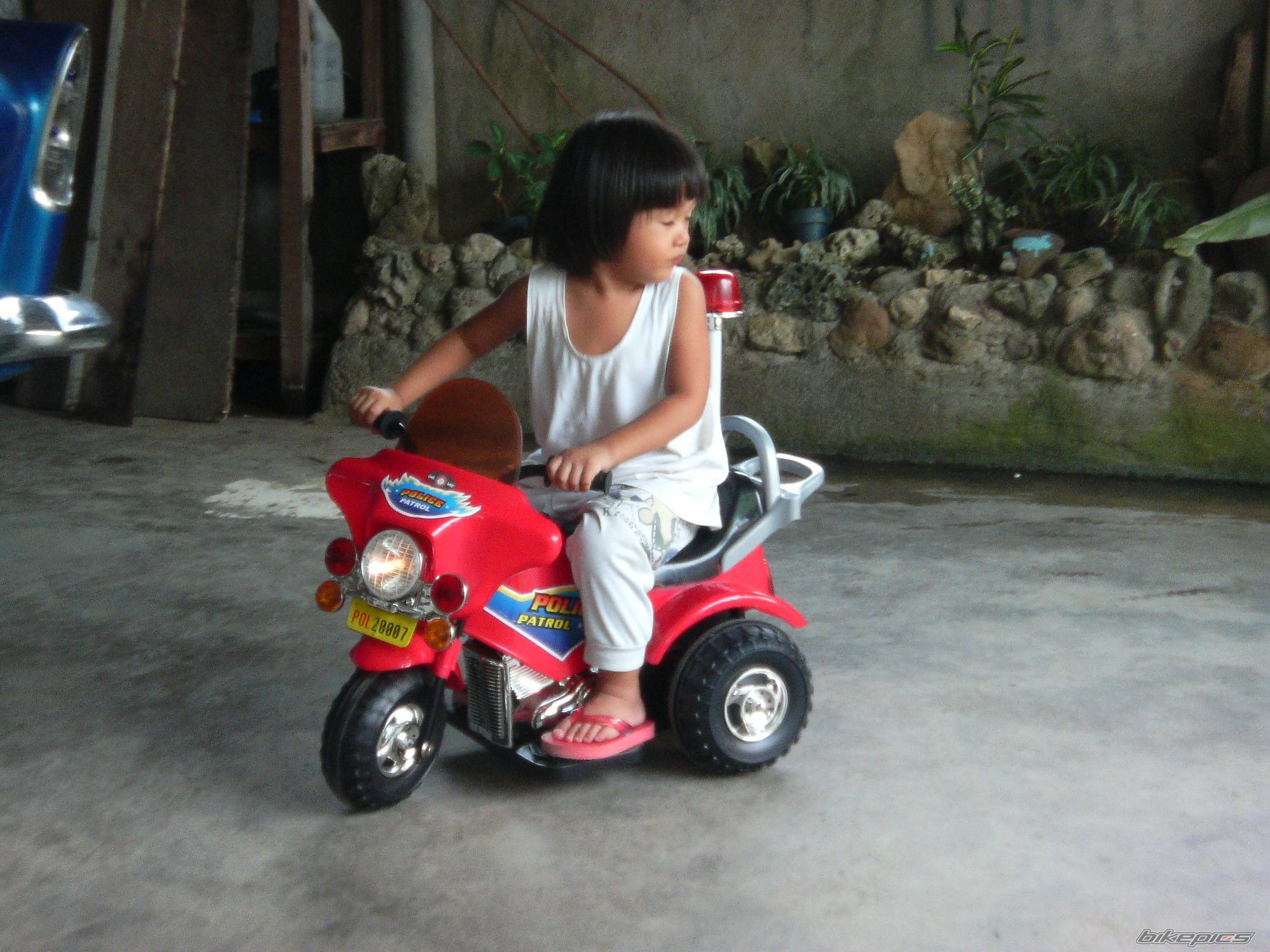 Photo 798198
