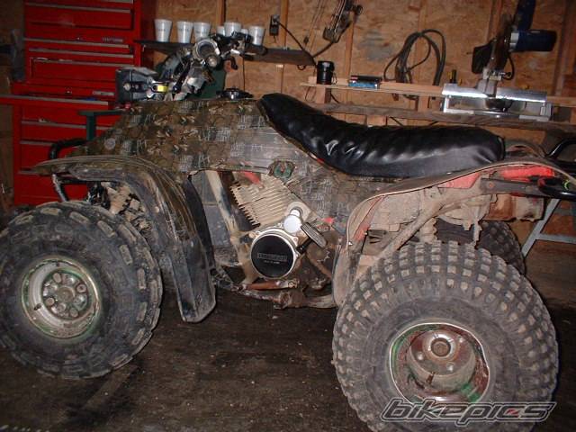 Photo 79823
