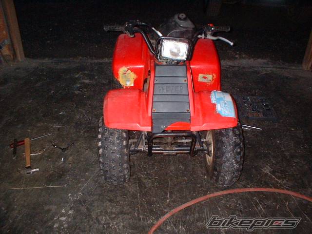 Photo 79825
