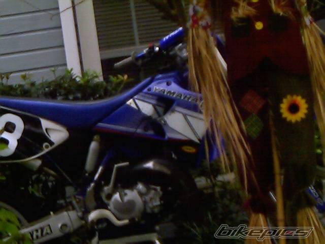 Photo 79827