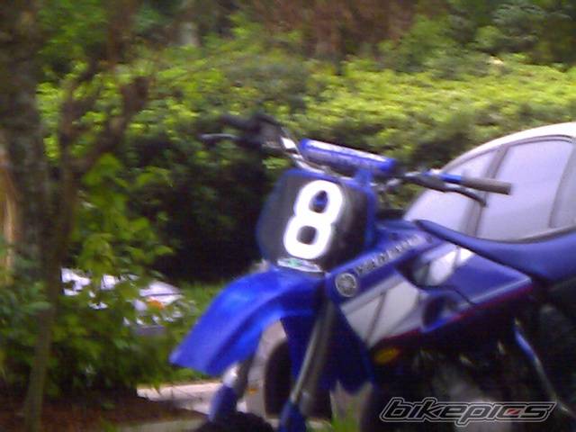 Photo 79828