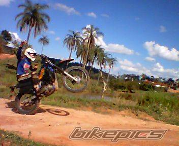 Photo 79832