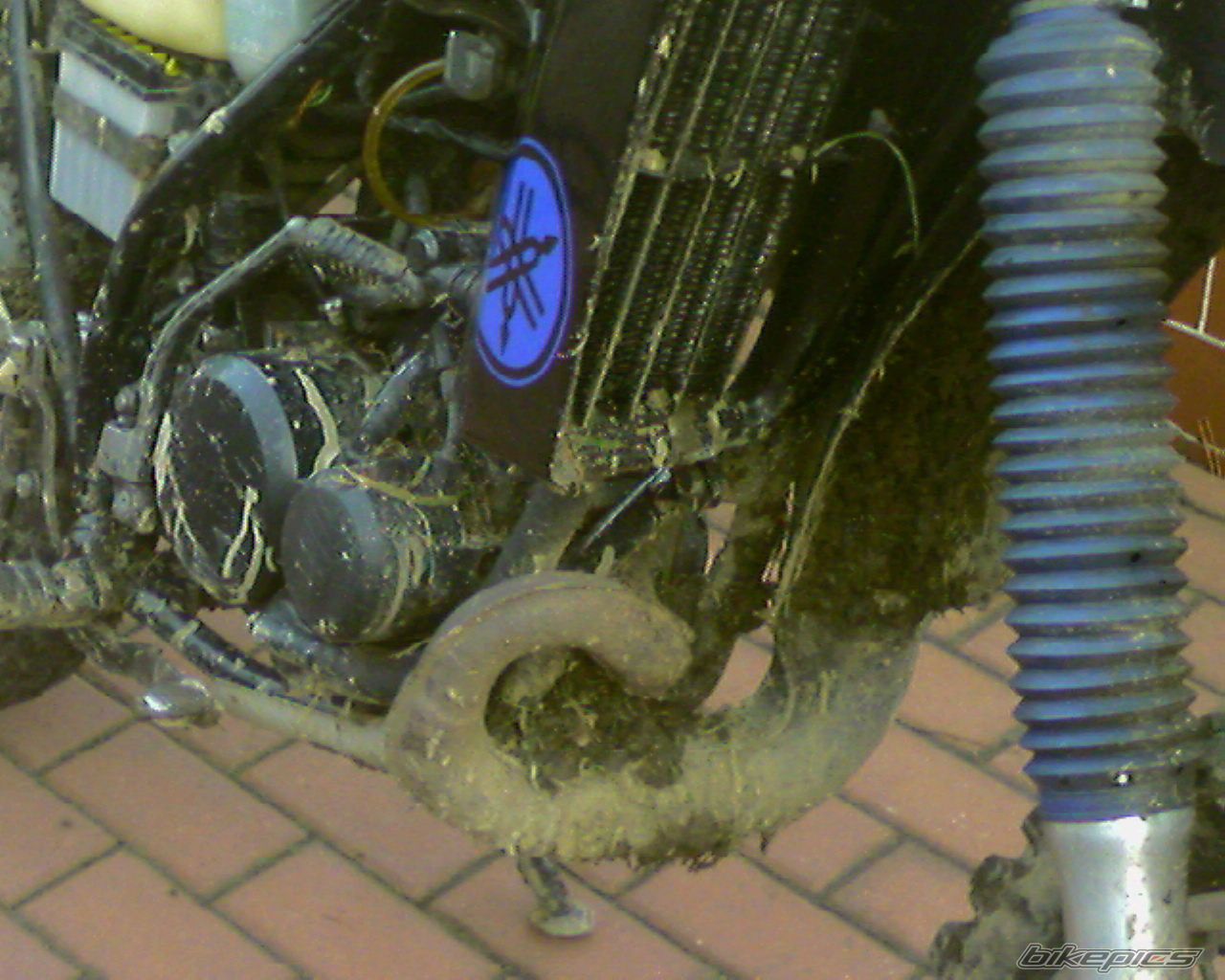 Bike Photo 798322