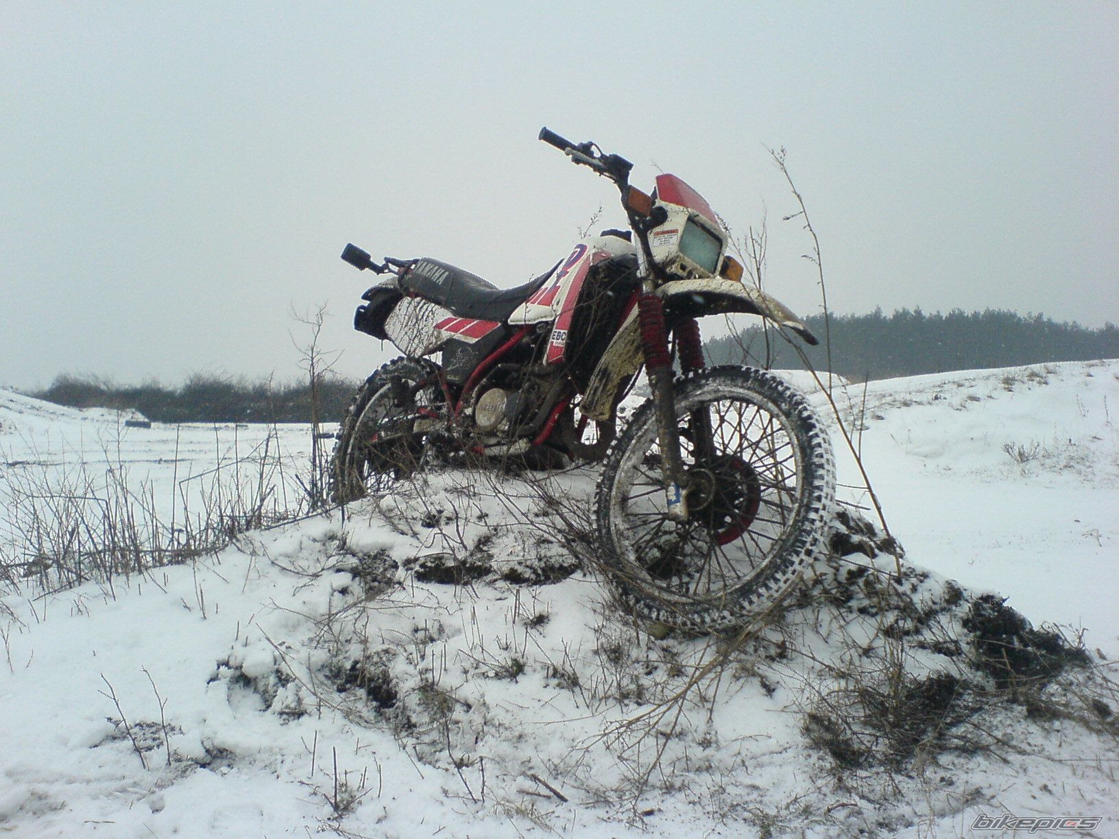 Bike Photo 798394