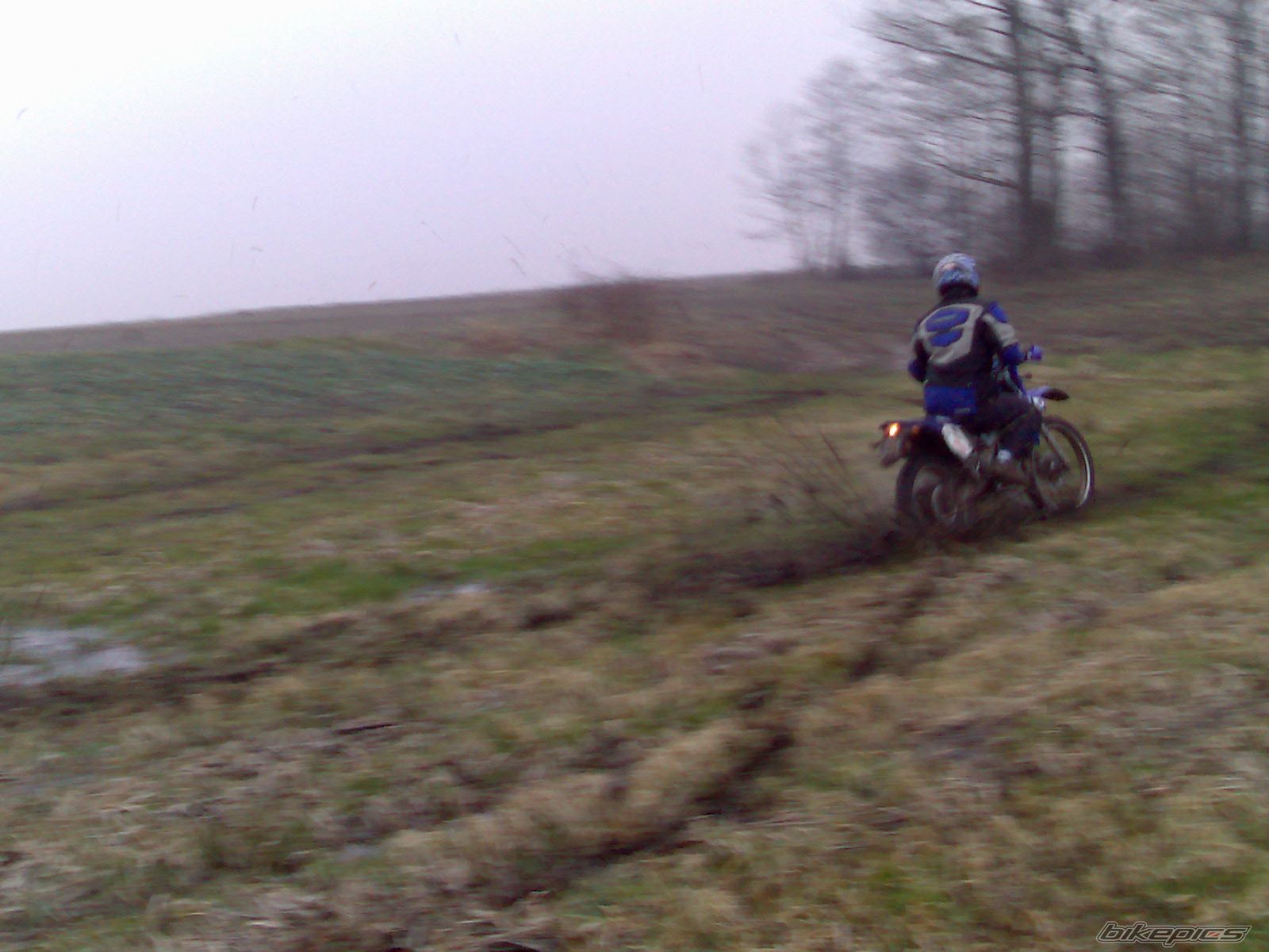Photo 798572