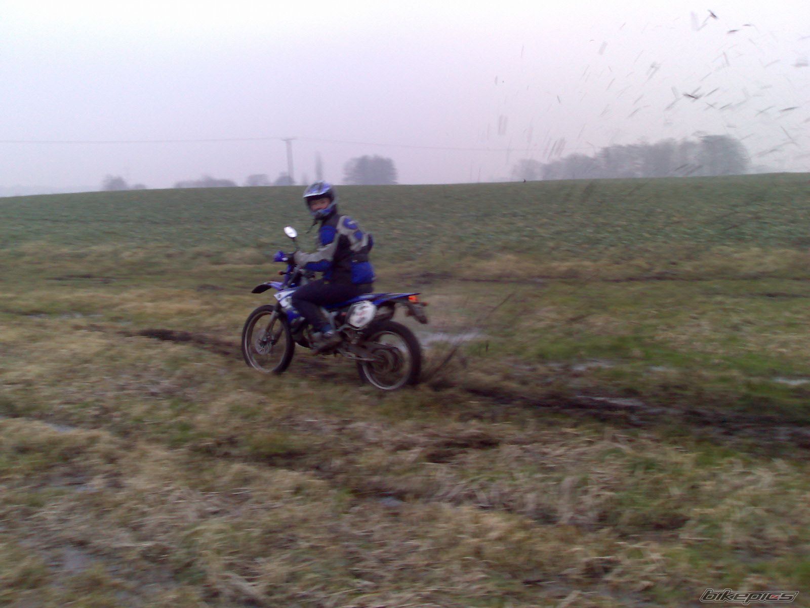 Photo 798574
