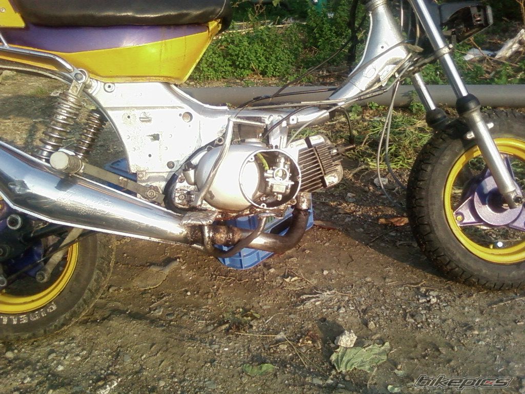 Photo 798613