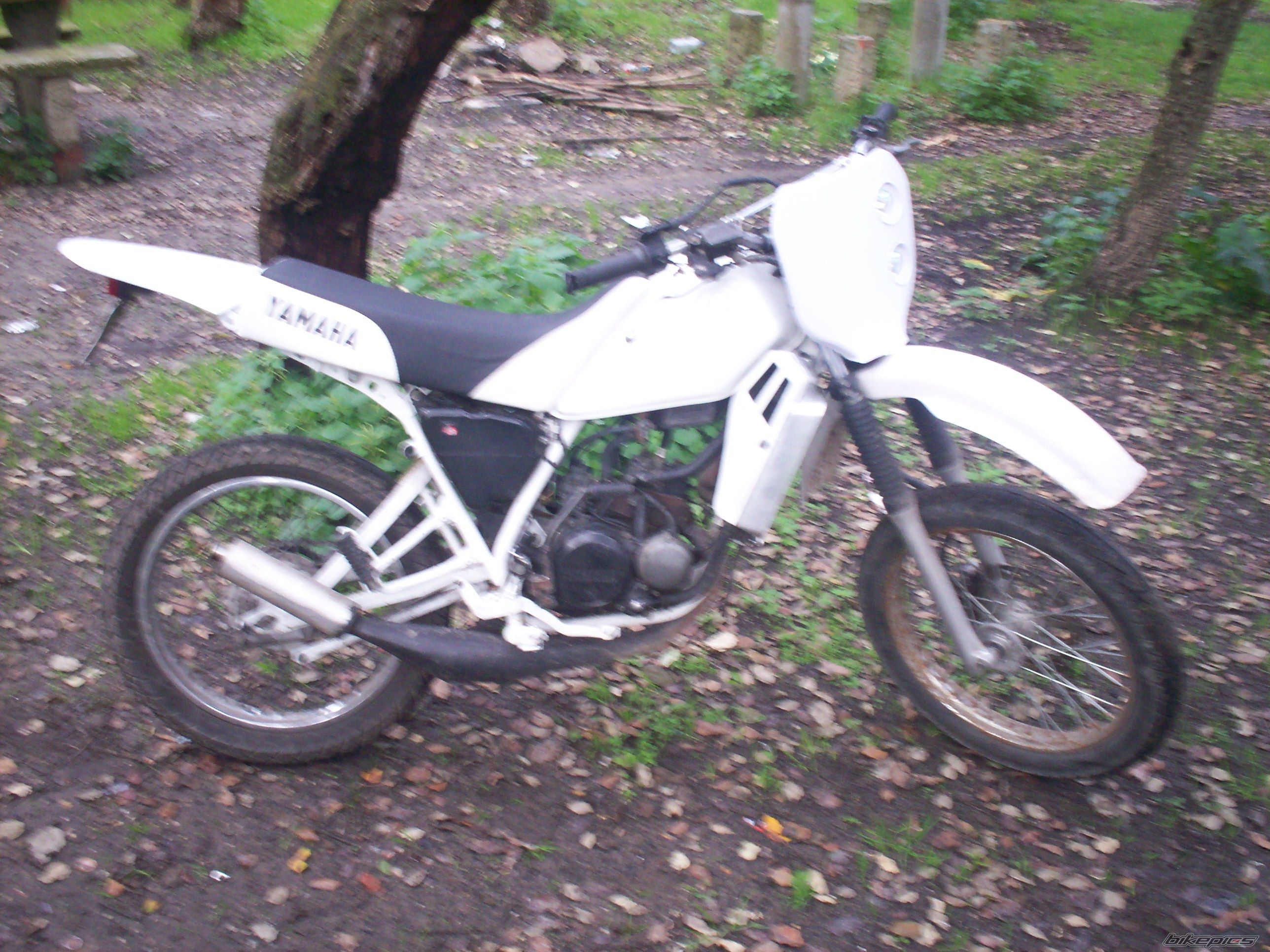 Bike Photo 798679