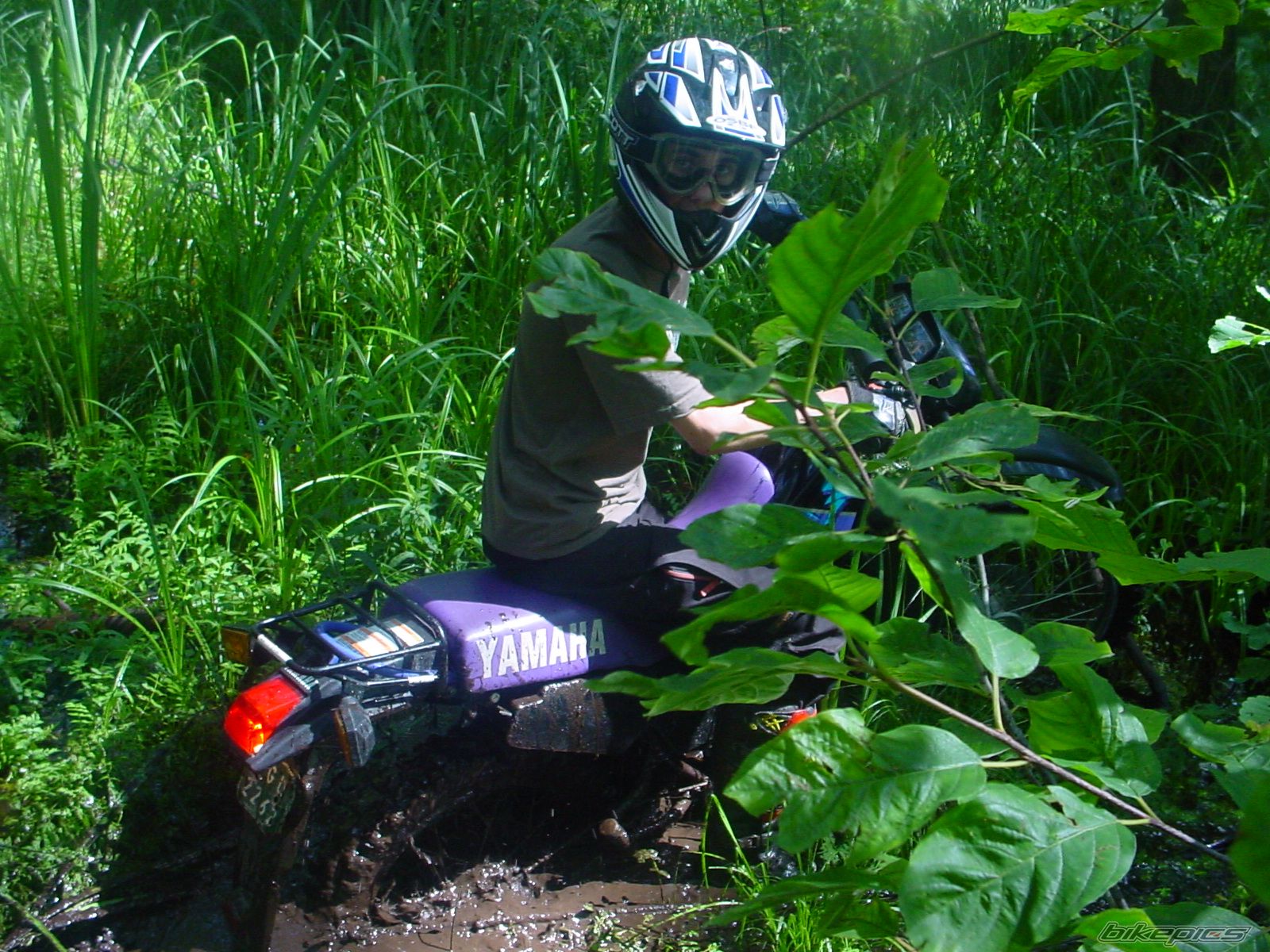 Bike Photo 798746