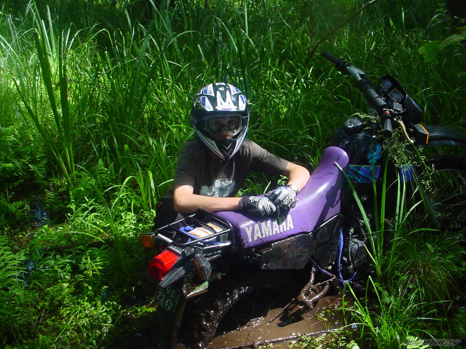 Bike Photo 798748