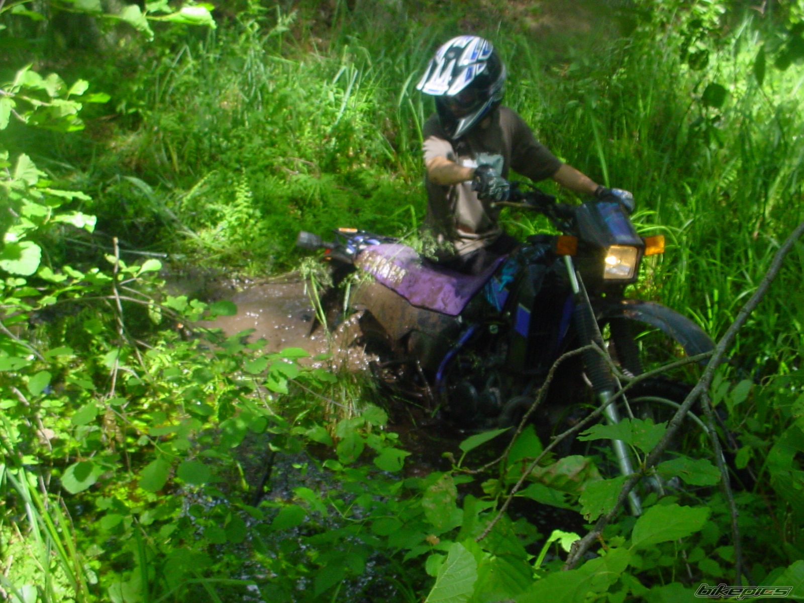 Bike Photo 798750