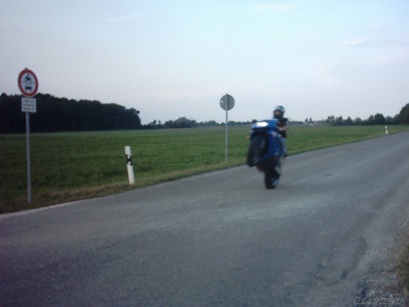 Photo 79877