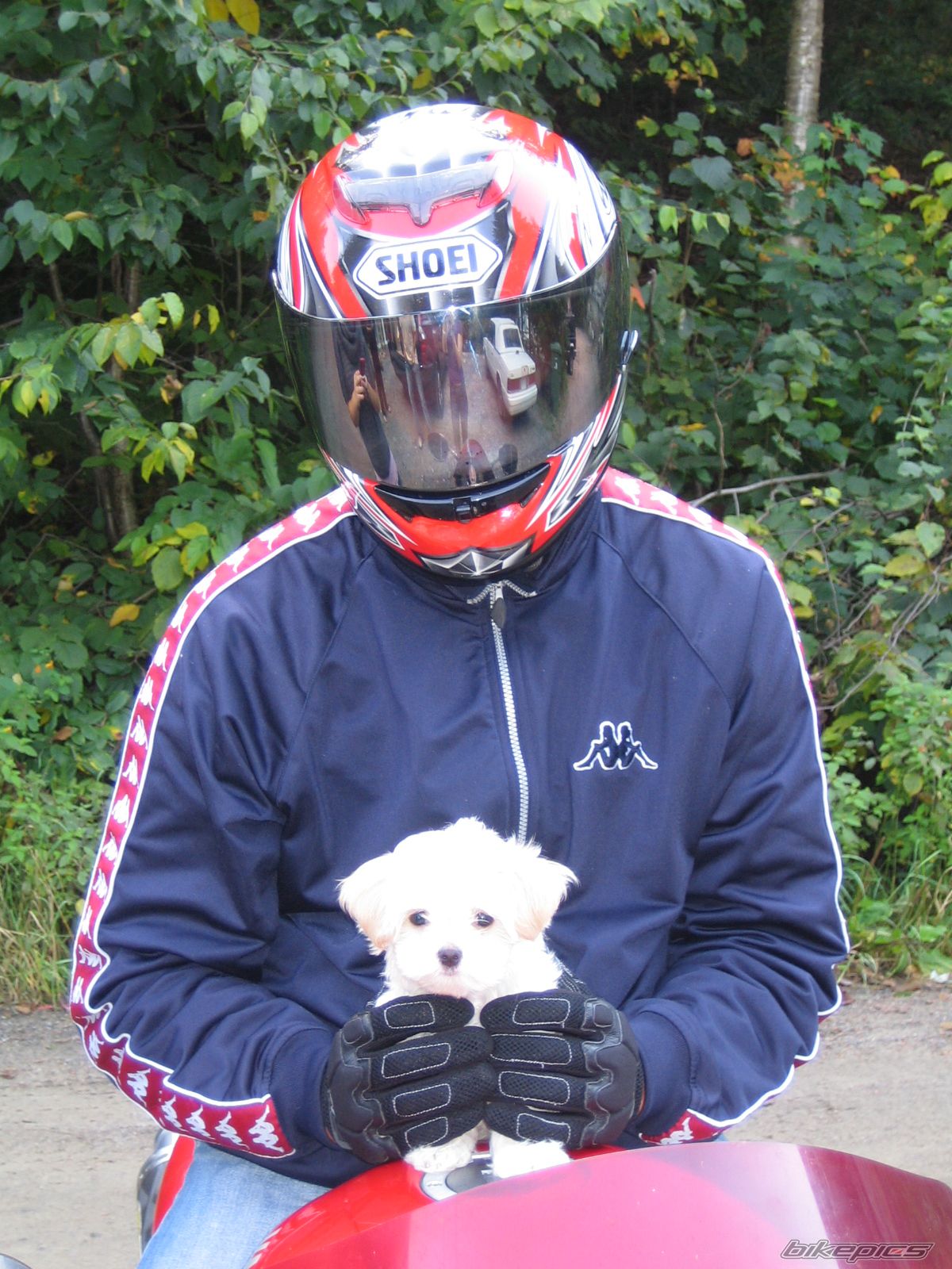 Bike Photo 798807