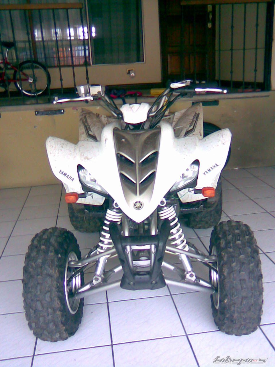 Photo 798863