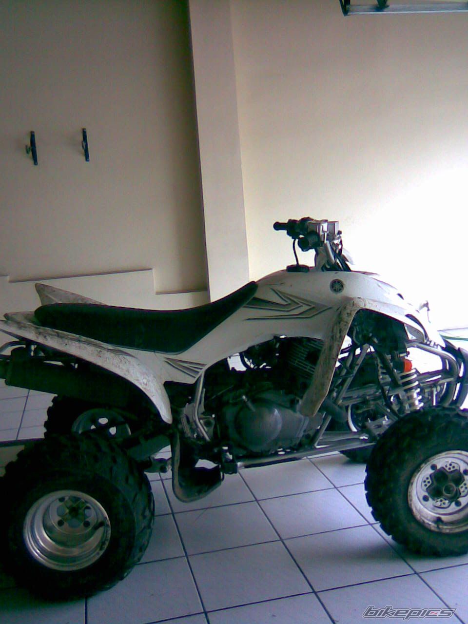 Photo 798865
