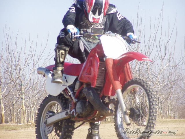 Photo 798942