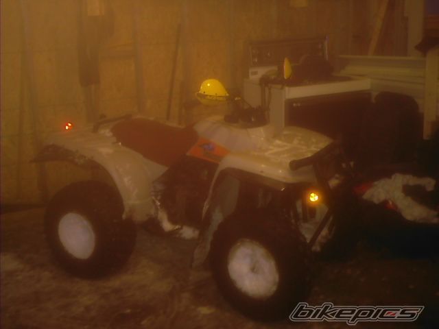 Photo 798986
