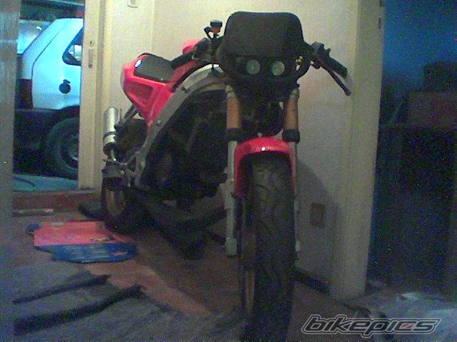 Photo 79905