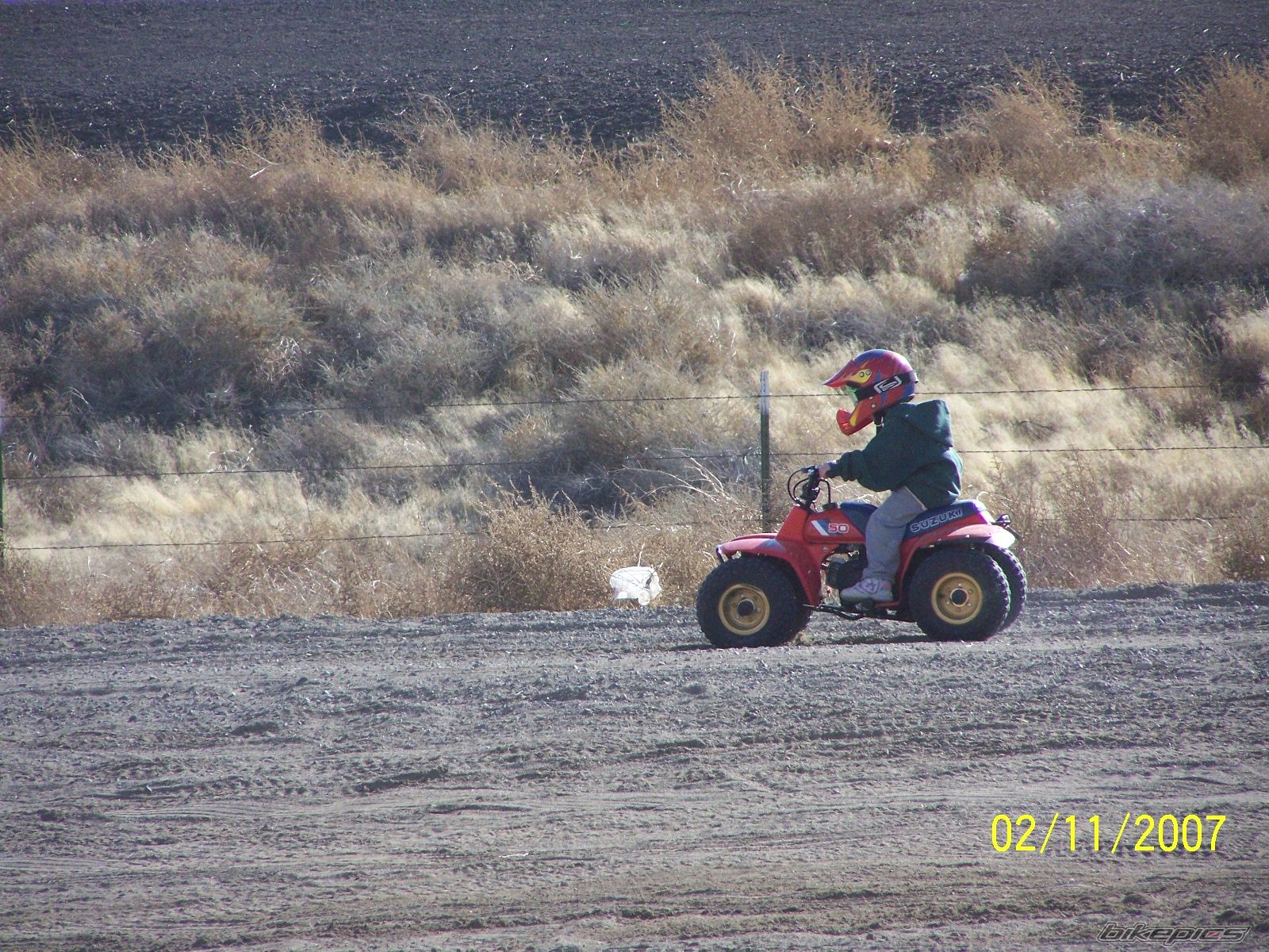 Photo 799098