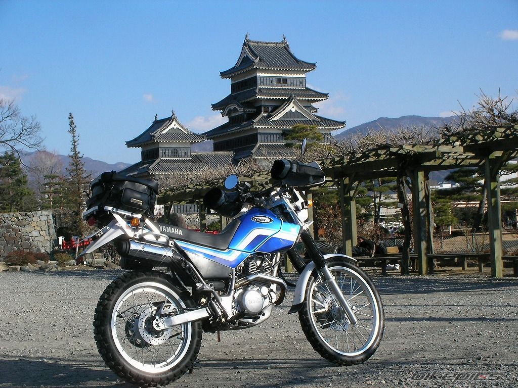 Photo 799161