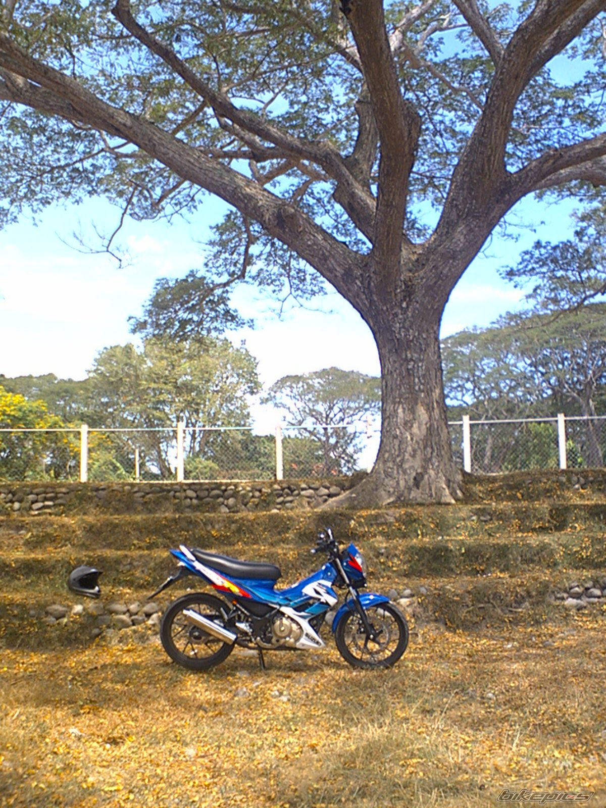 Photo 799263