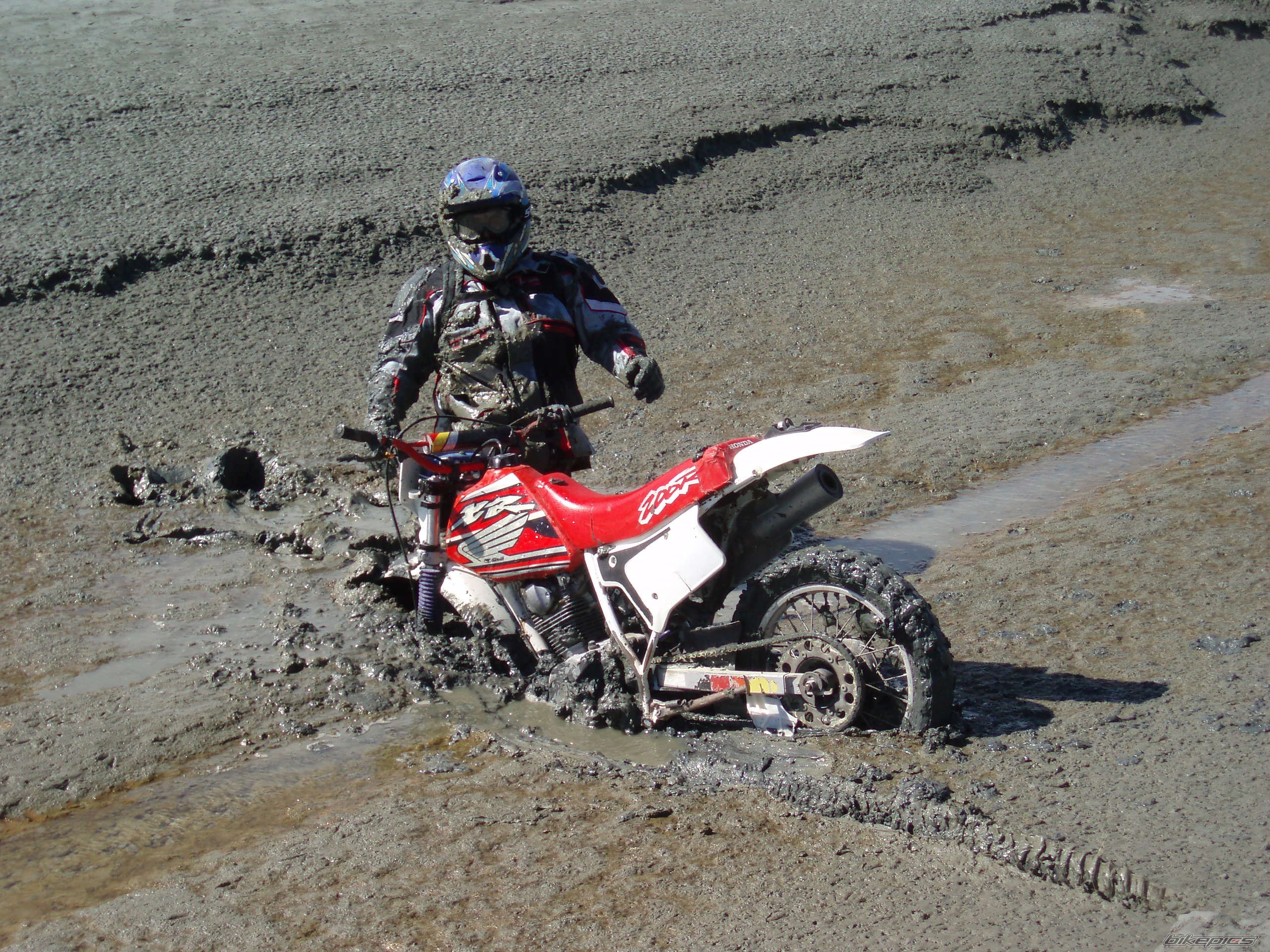 Bike Photo 799364