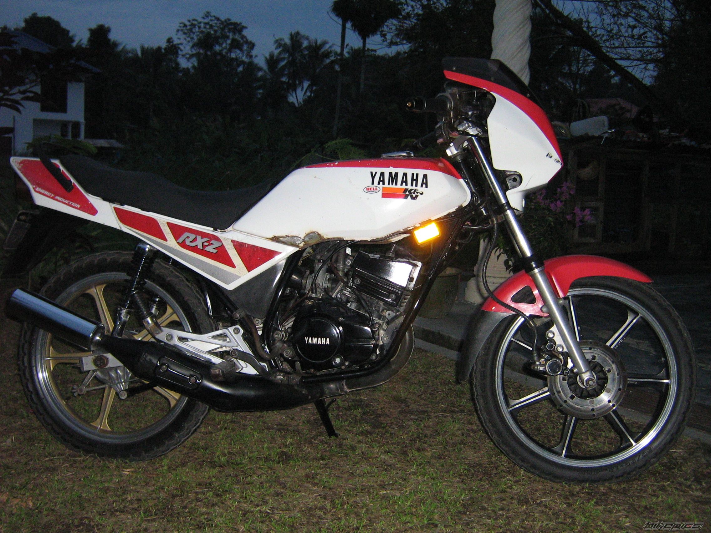 Photo 799381