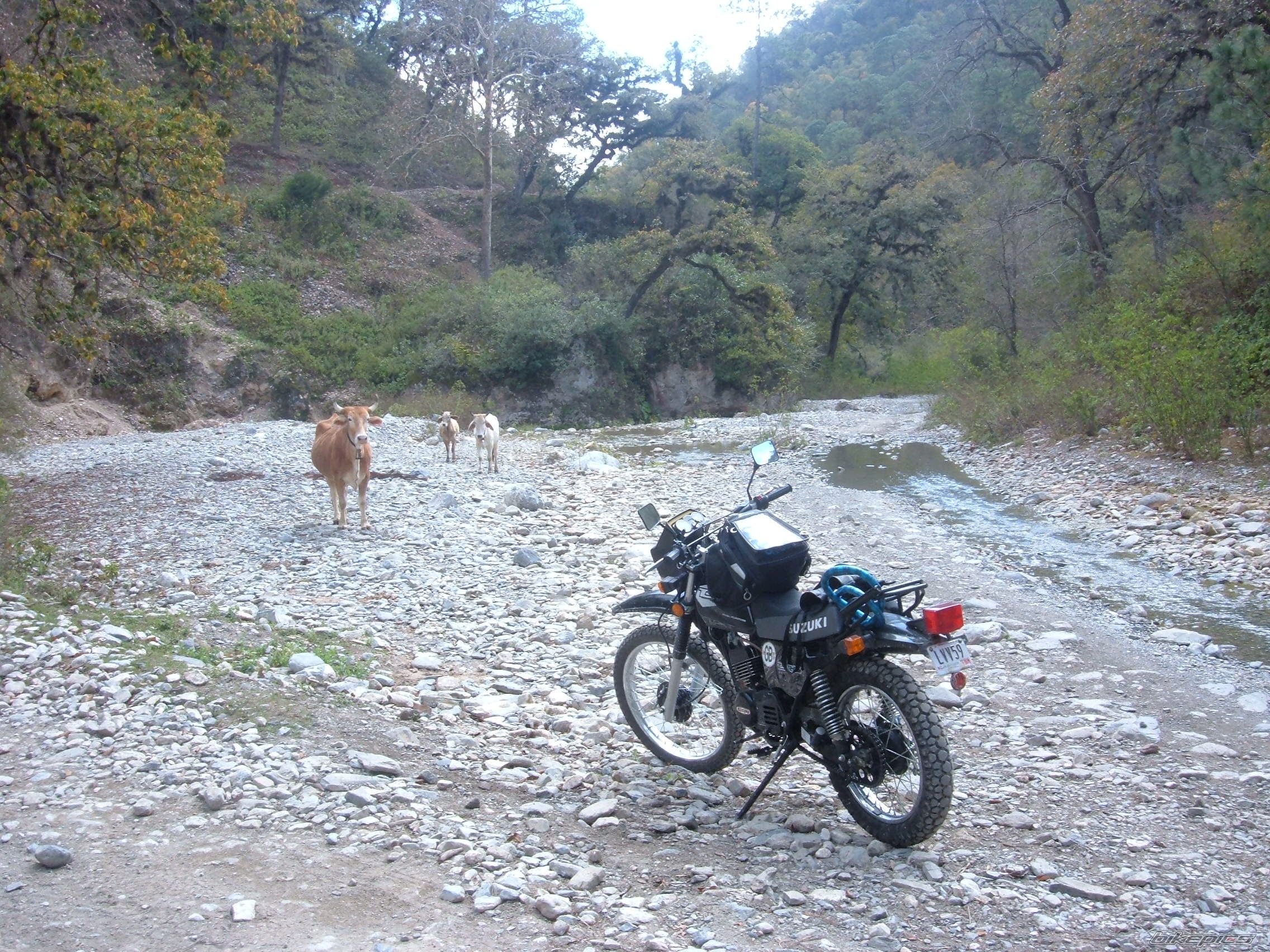 Bike Photo 799387