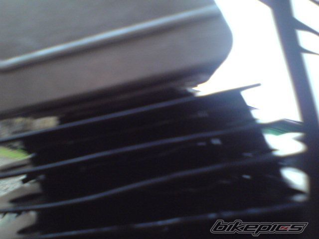 Photo 799581