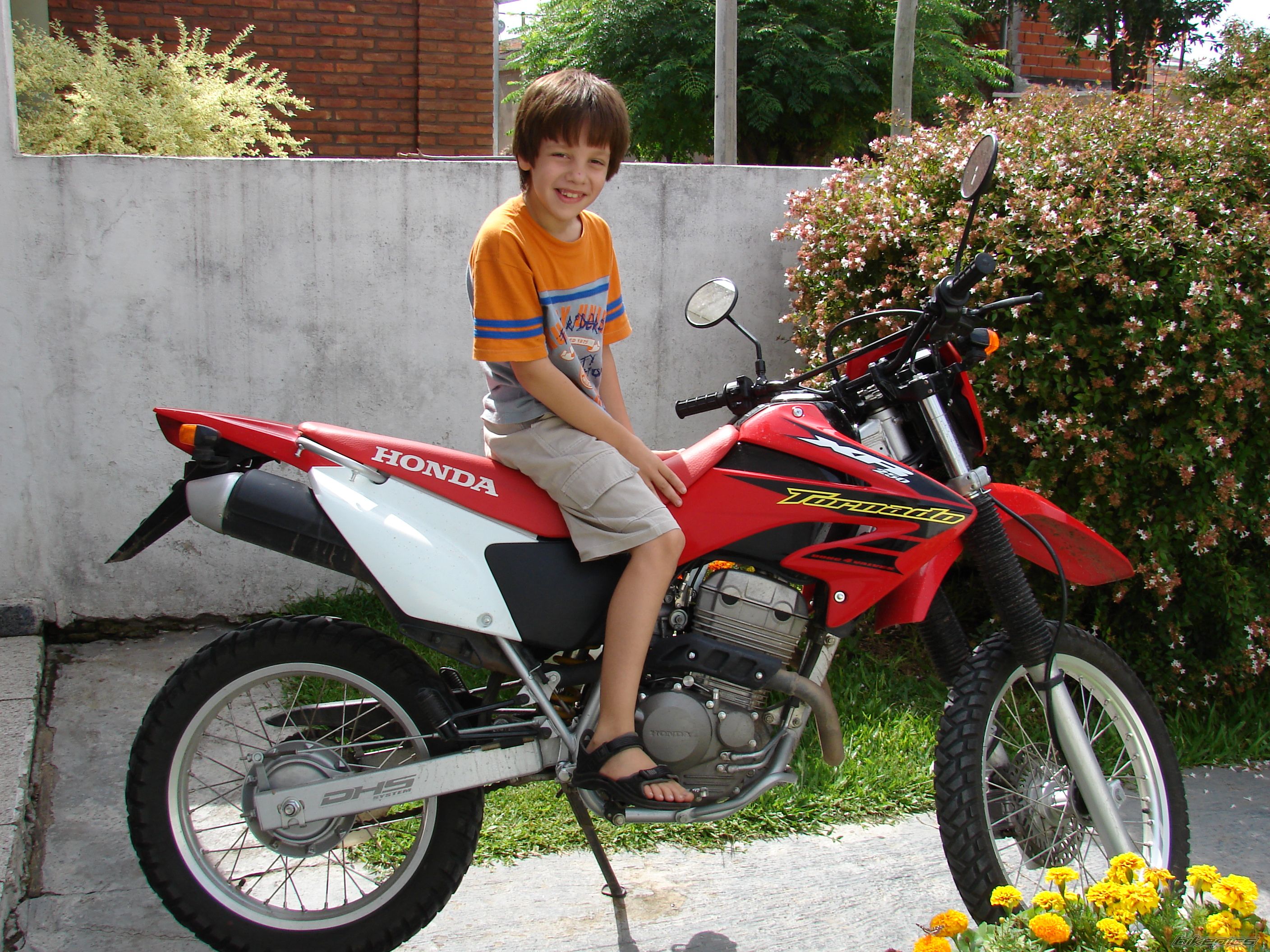 Photo 799618