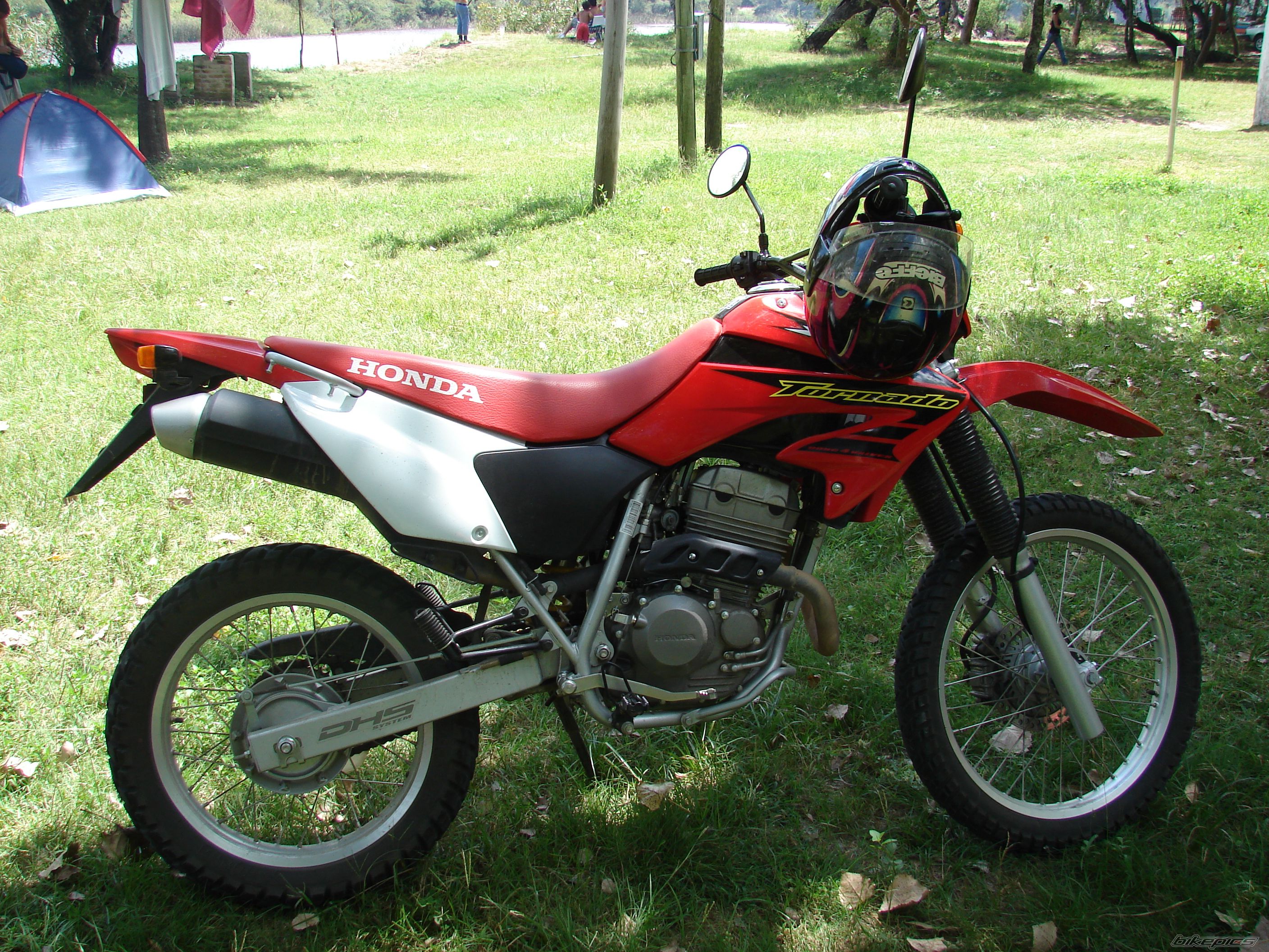 Photo 799620