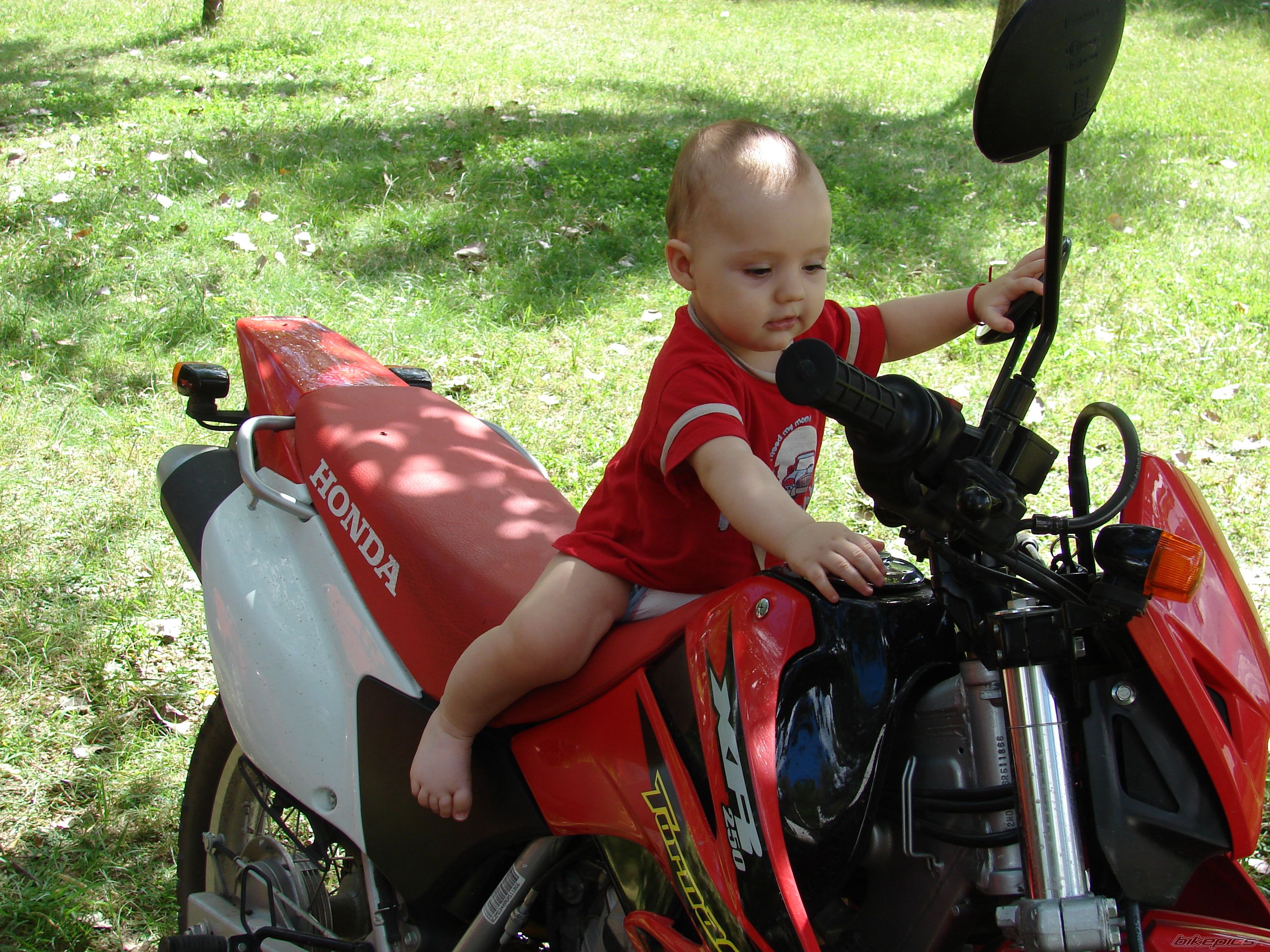 Photo 799623