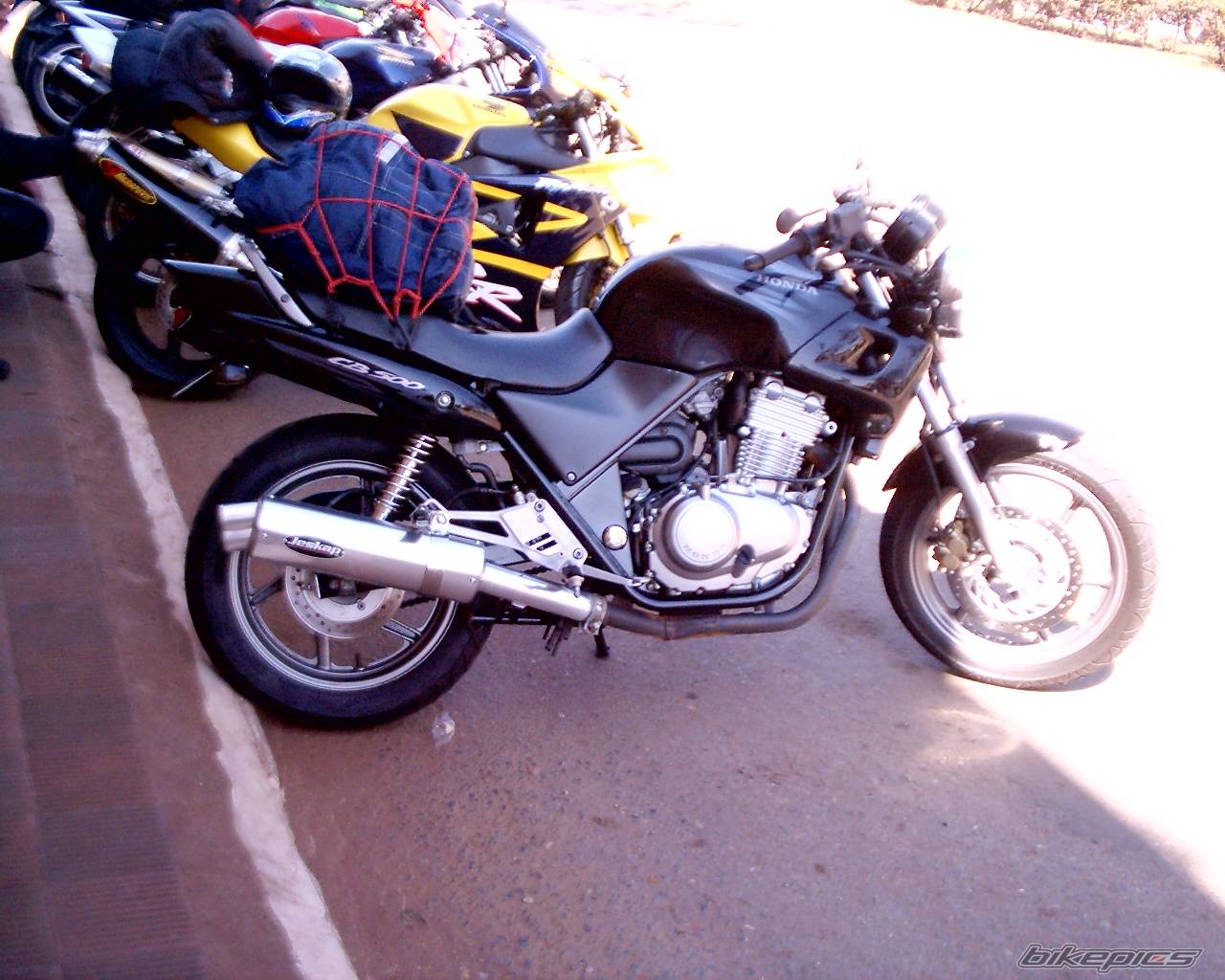 Photo 79966