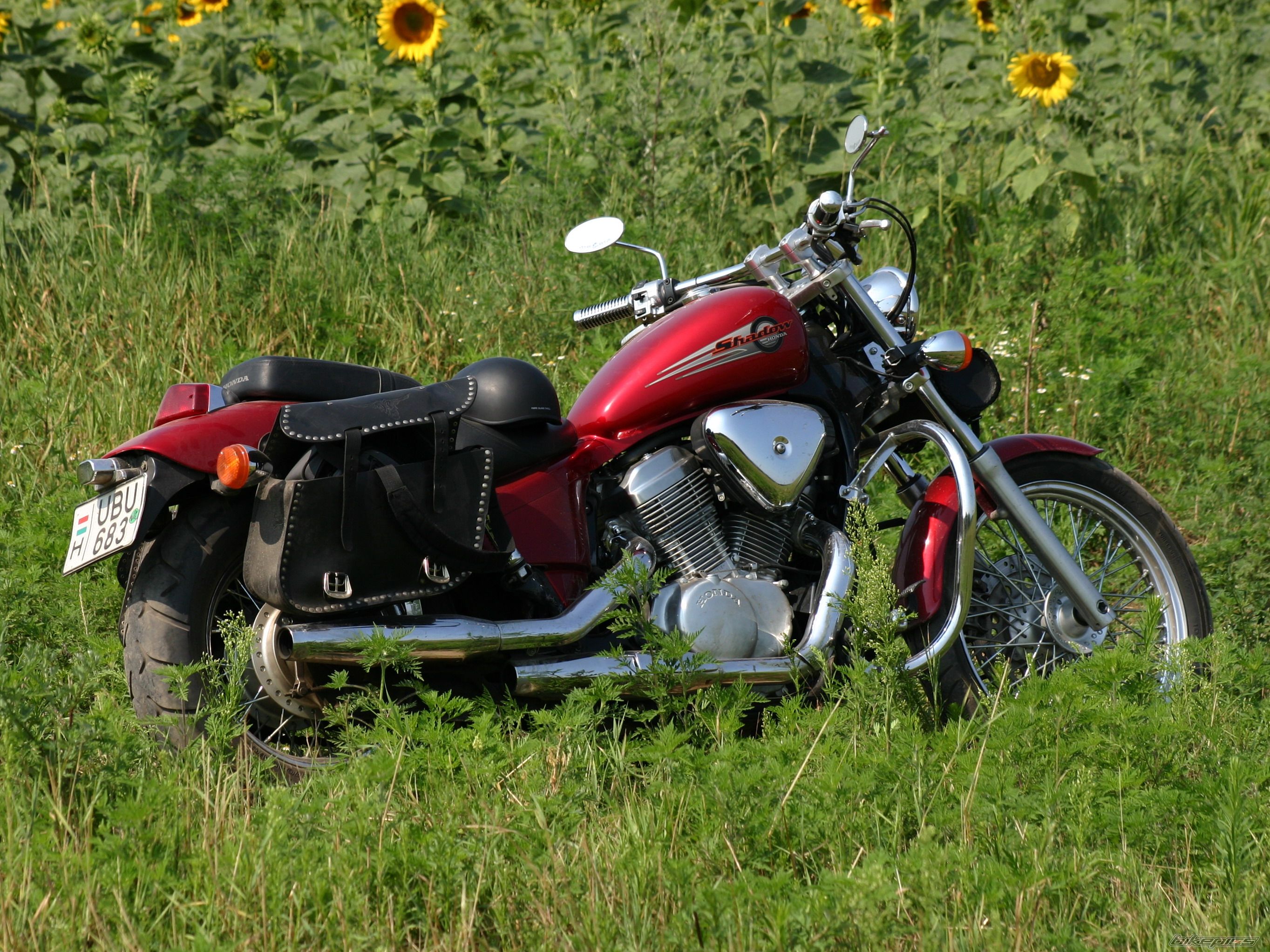 Photo 799718
