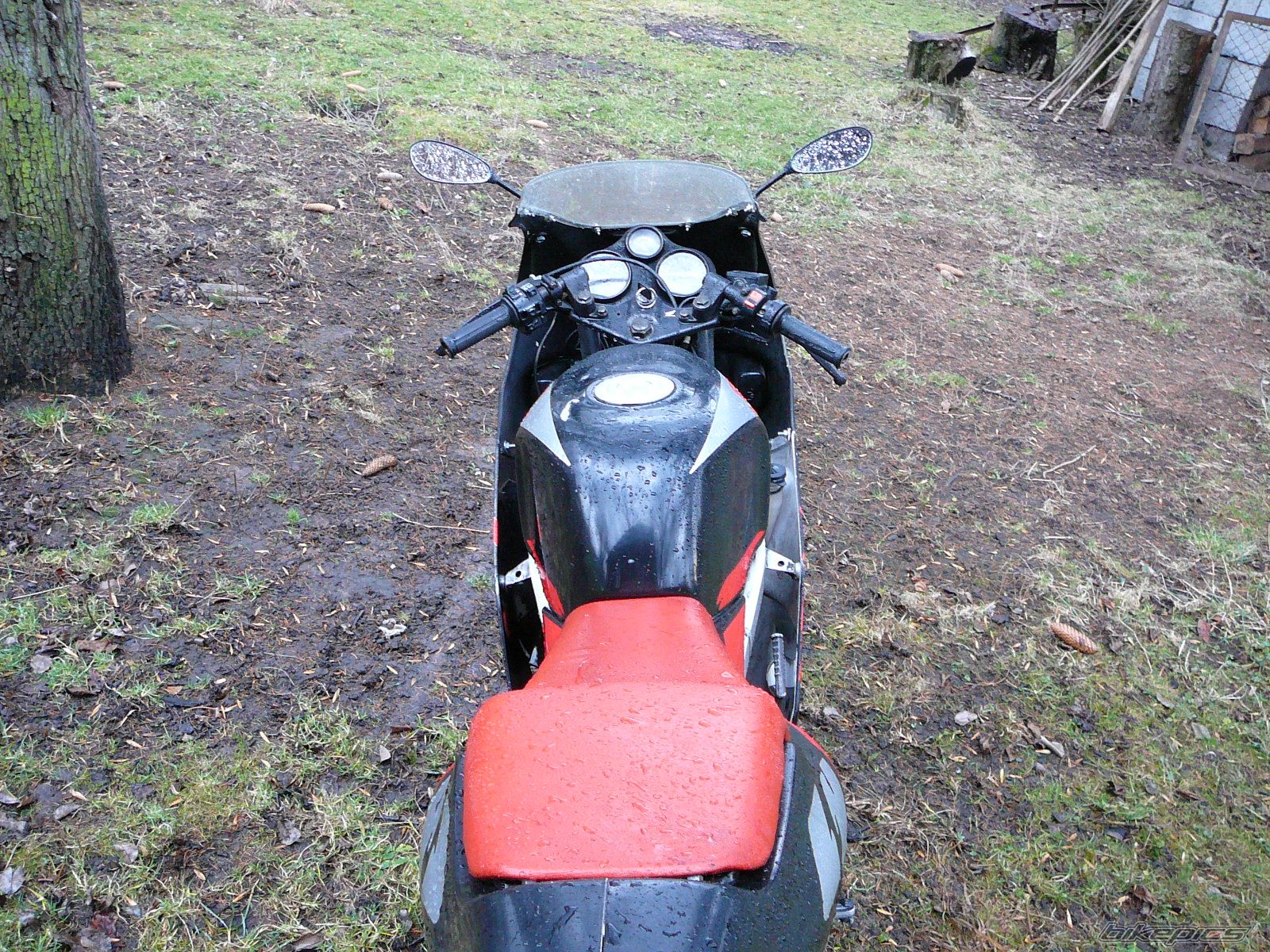 Photo 799749