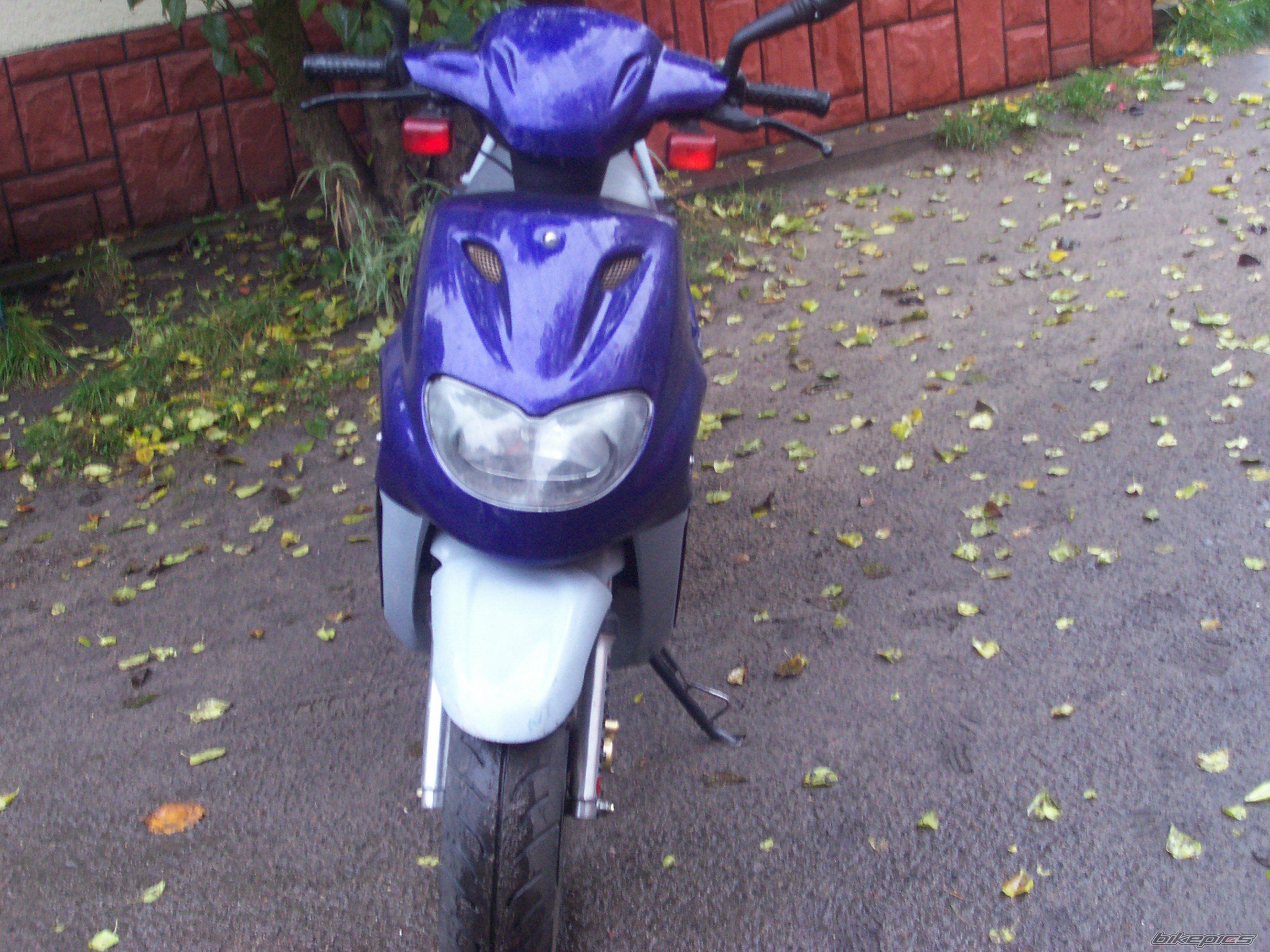 Bike Photo 799887
