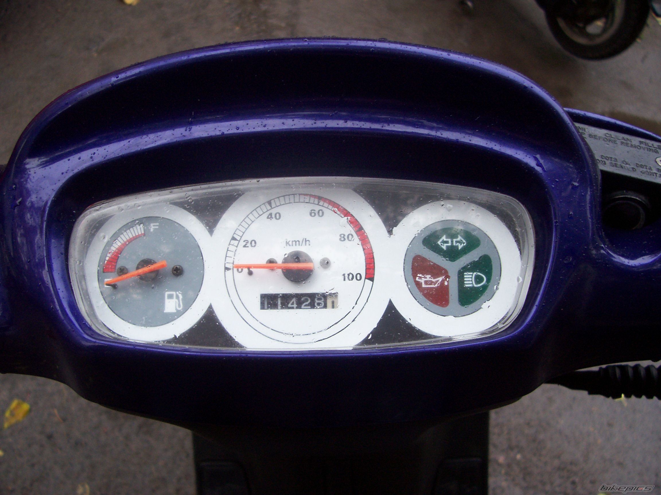 Photo 799896