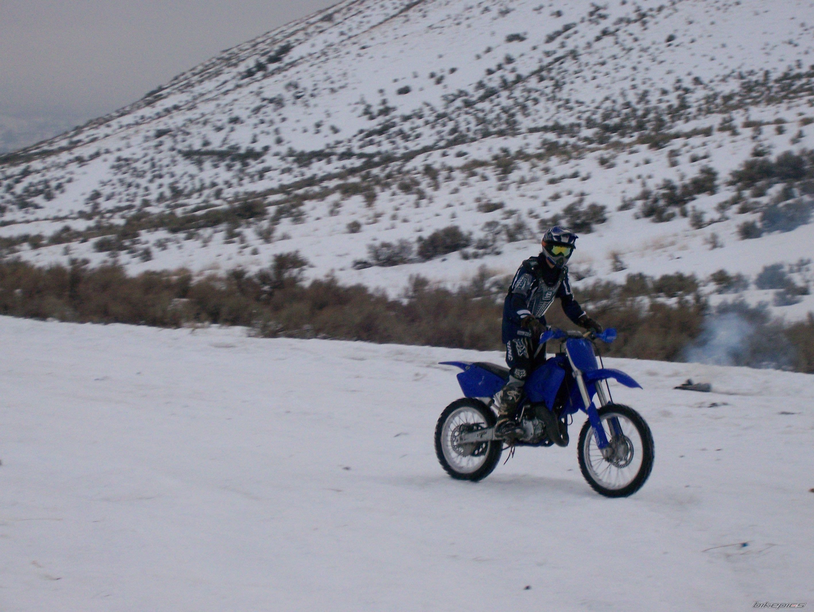Photo 799901