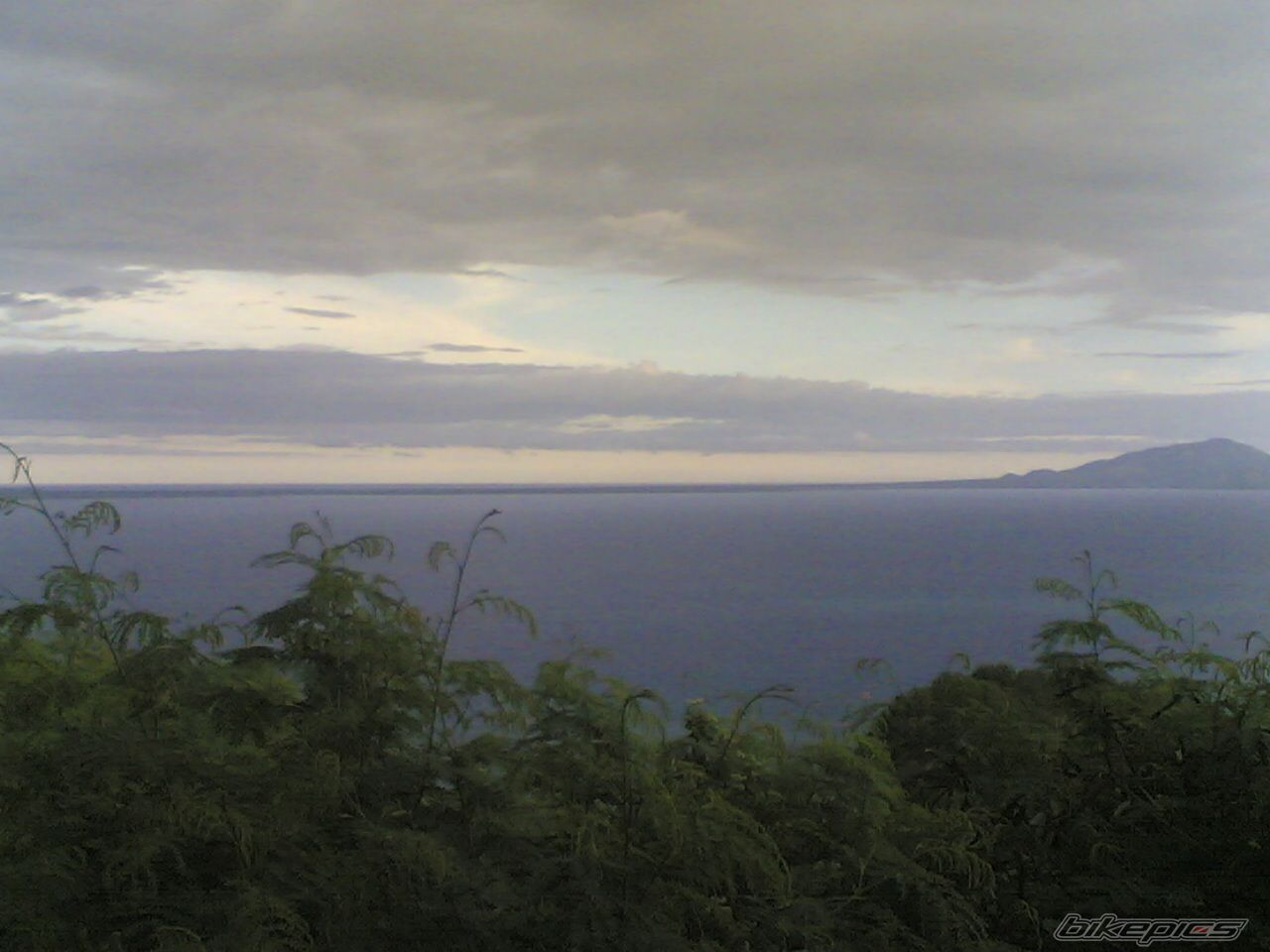 Photo 799915