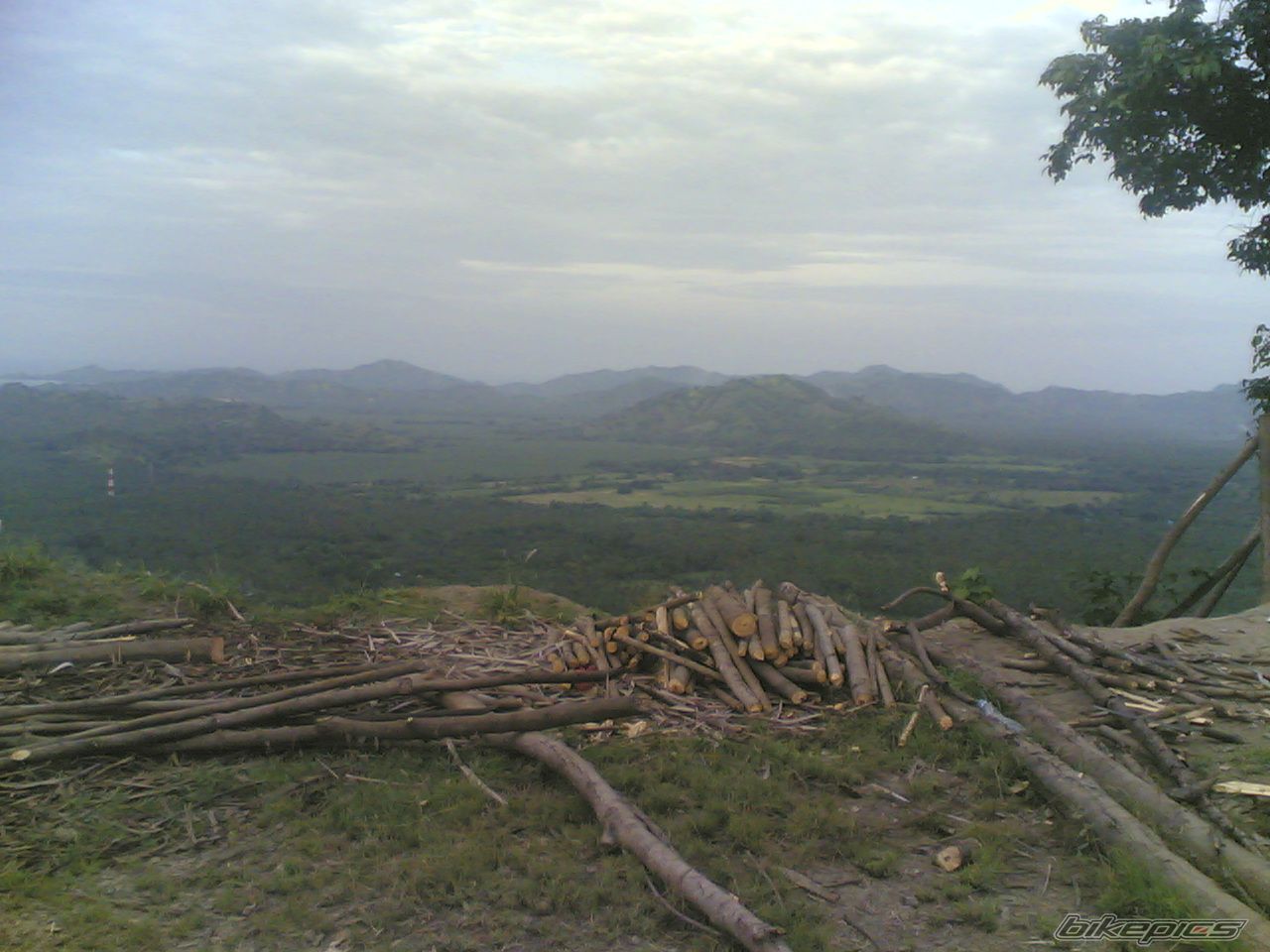 Photo 799917