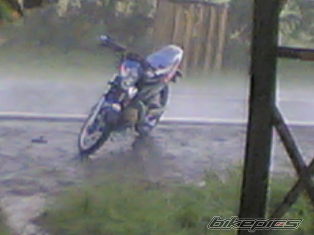 Photo 799918