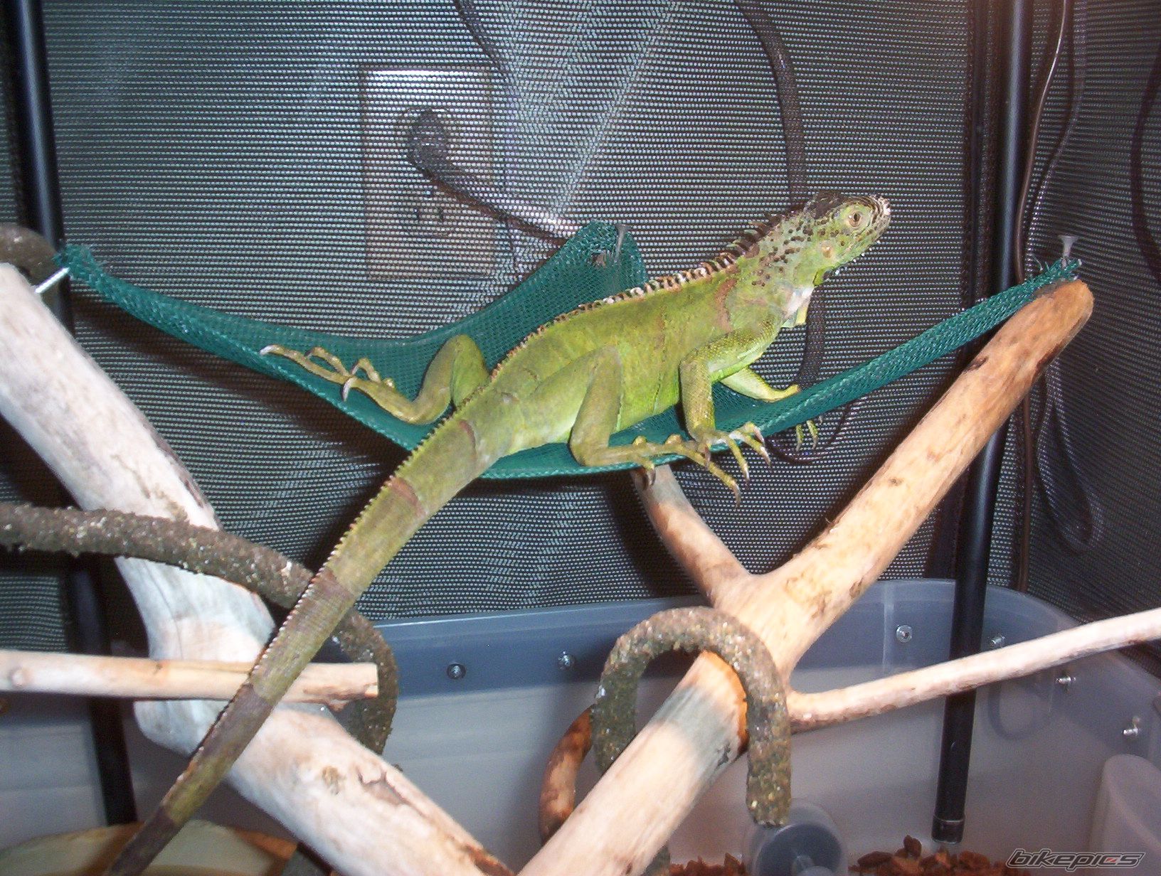 Photo 799934