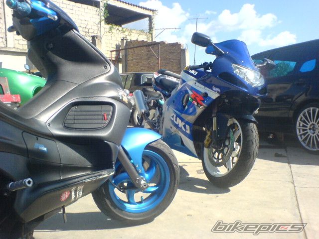Photo 799945