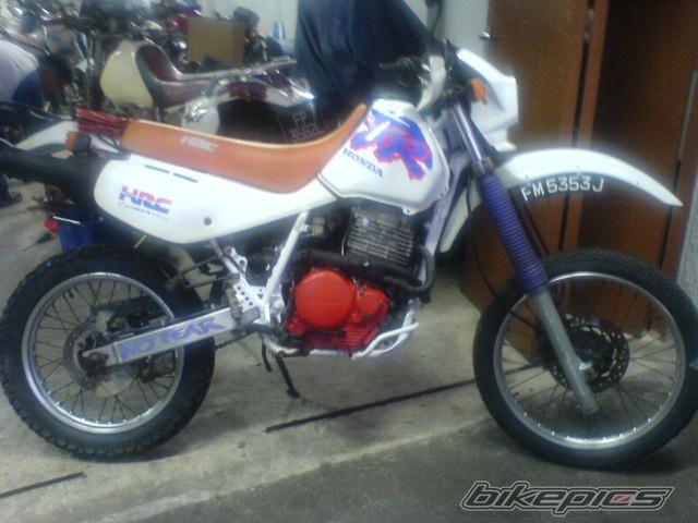Bike Photo 799954