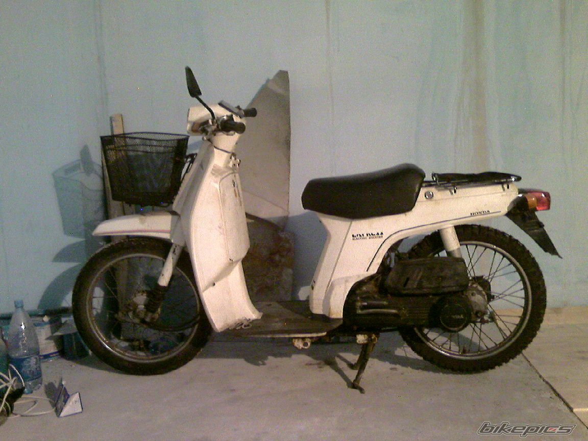 Photo 800040